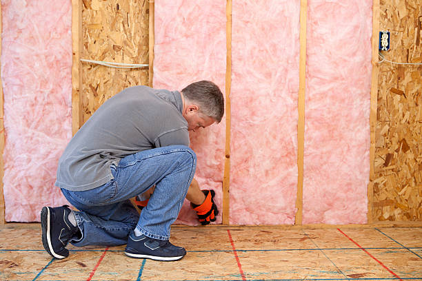 Best DIY Insulation Kits and Guidance in Springfield, CO
