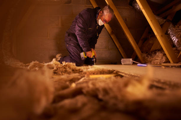 Best Eco-Friendly Insulation in Springfield, CO